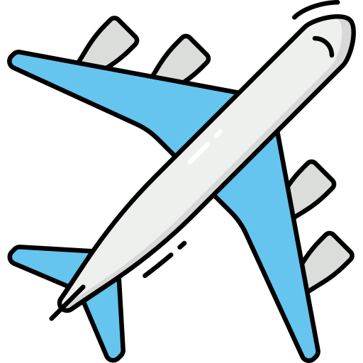fly